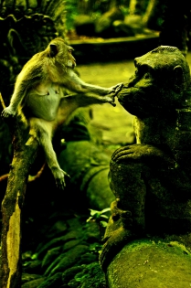 Sacrest monkey forest à Bali 